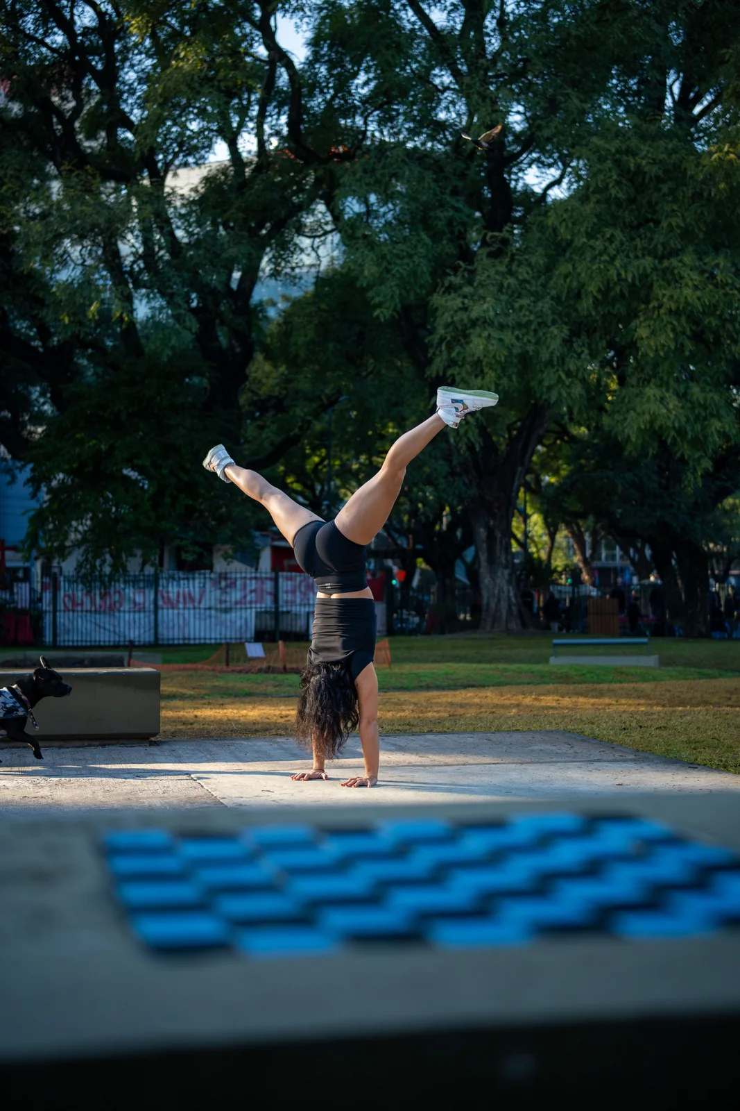 Equilibrio urbano / Acrobacia